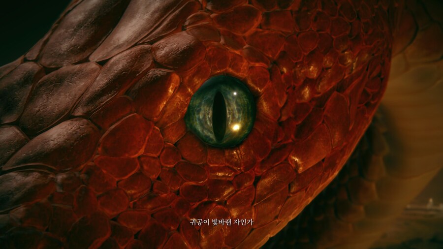 DLC보스스포) 'ㄱㅅㄱ ㅁㅅㅁㄹ' 컷신 스샷_1.jpg