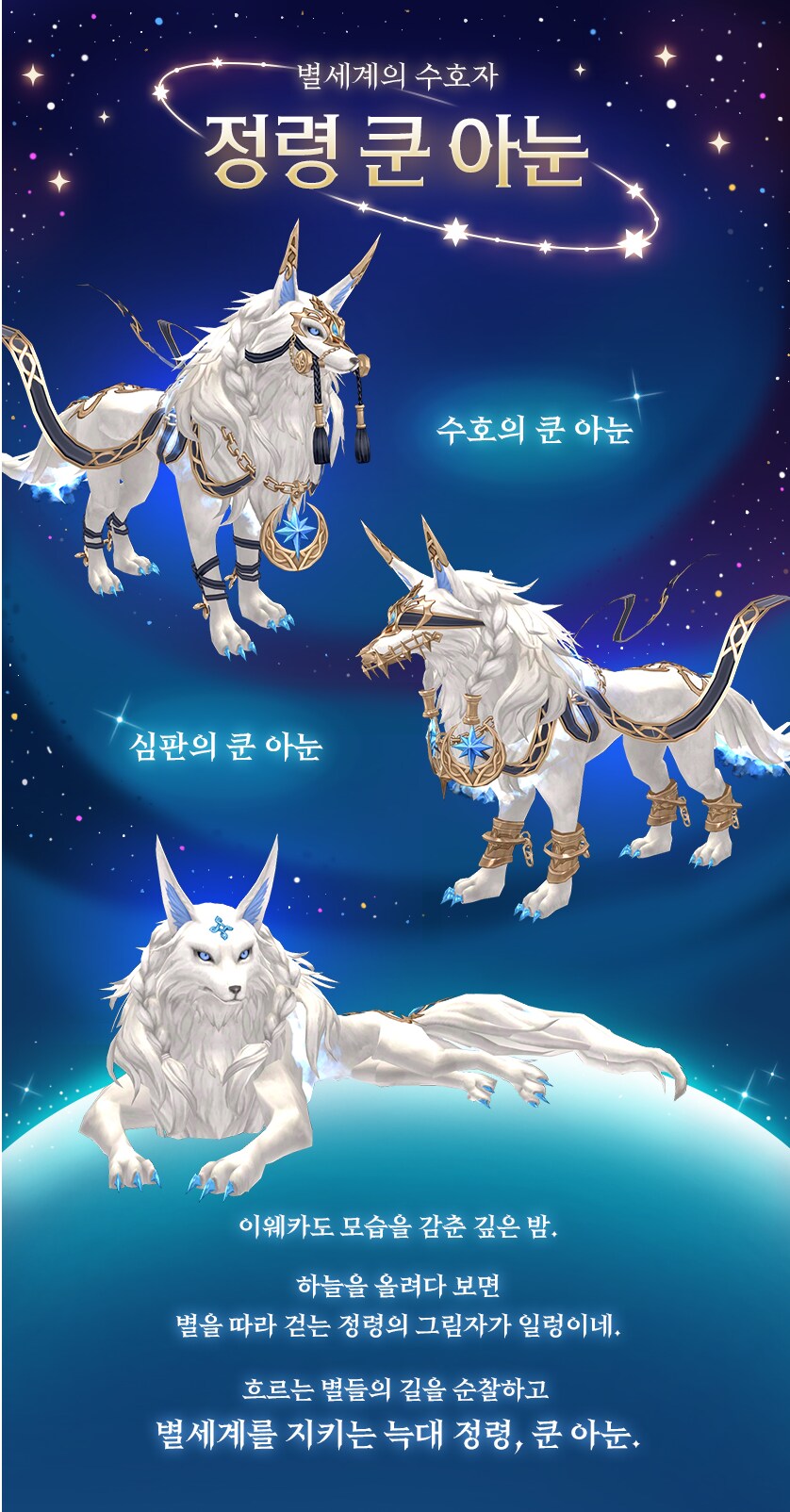 2024 여름 신규 펫 쿤 아눈_1.png