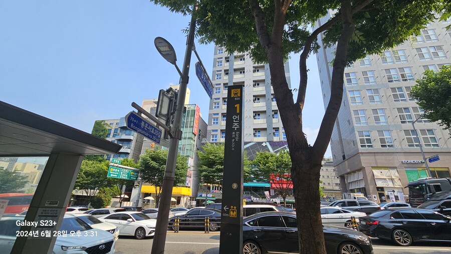 강남구 가볍게 산책 (40Km)_32.jpg