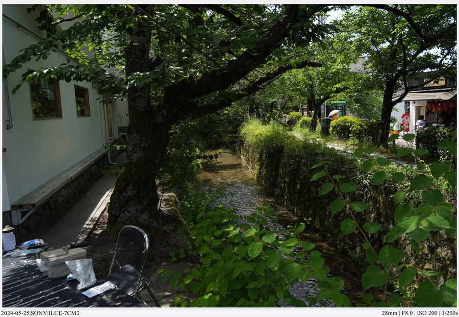 교토 여행기[24.05.24~27] - 2일차(上),후시미이나리,청수사,은각사_49.jpg