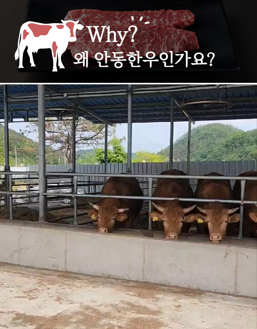 [네이버]프리미엄 한우세트600g을 4만원에 가져갈 수 있는 기회~!!_4.jpg