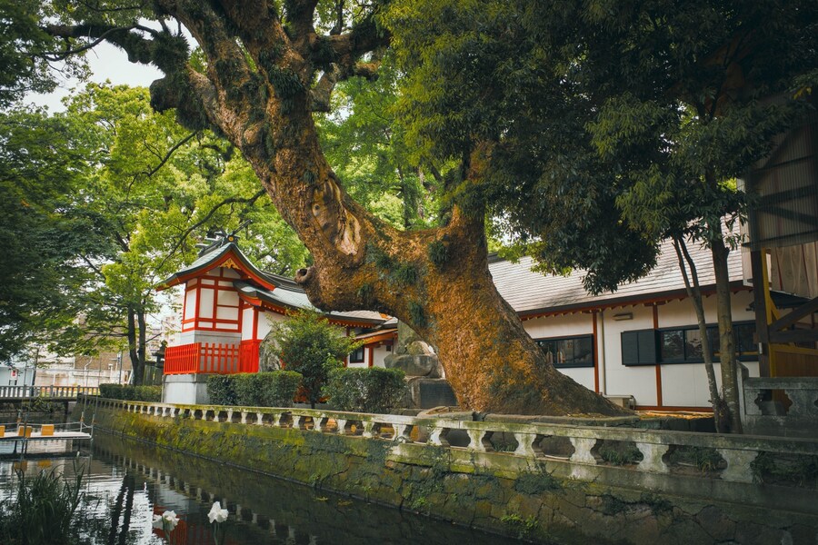 아이 둘 유부남, 홀로 북규슈 여행 5박 6일 - (사가에서 자전거)_11.jpg