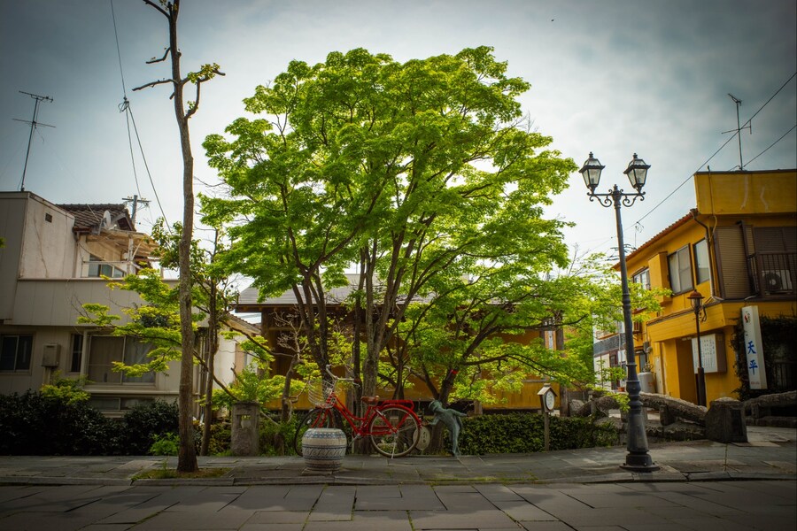 아이 둘 유부남, 홀로 북규슈 여행 5박 6일 - (사가에서 자전거)_13.jpg