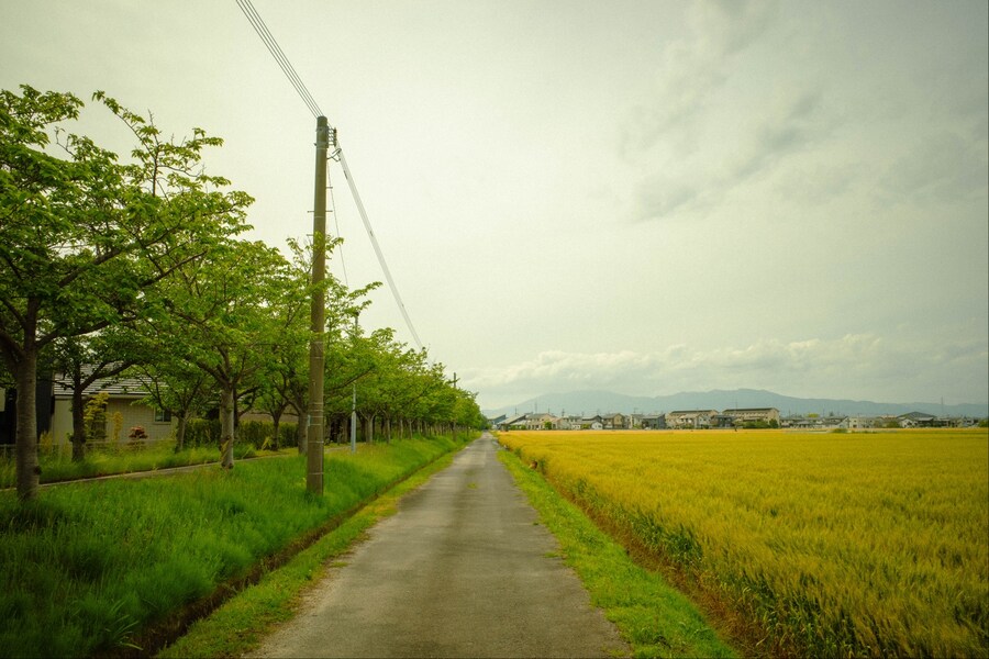 아이 둘 유부남, 홀로 북규슈 여행 5박 6일 - (사가에서 자전거)_21.jpg