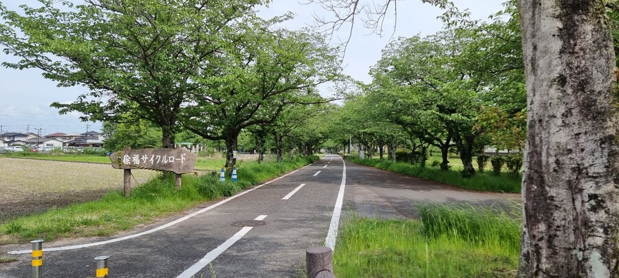 아이 둘 유부남, 홀로 북규슈 여행 5박 6일 - (사가에서 자전거)_18.jpg