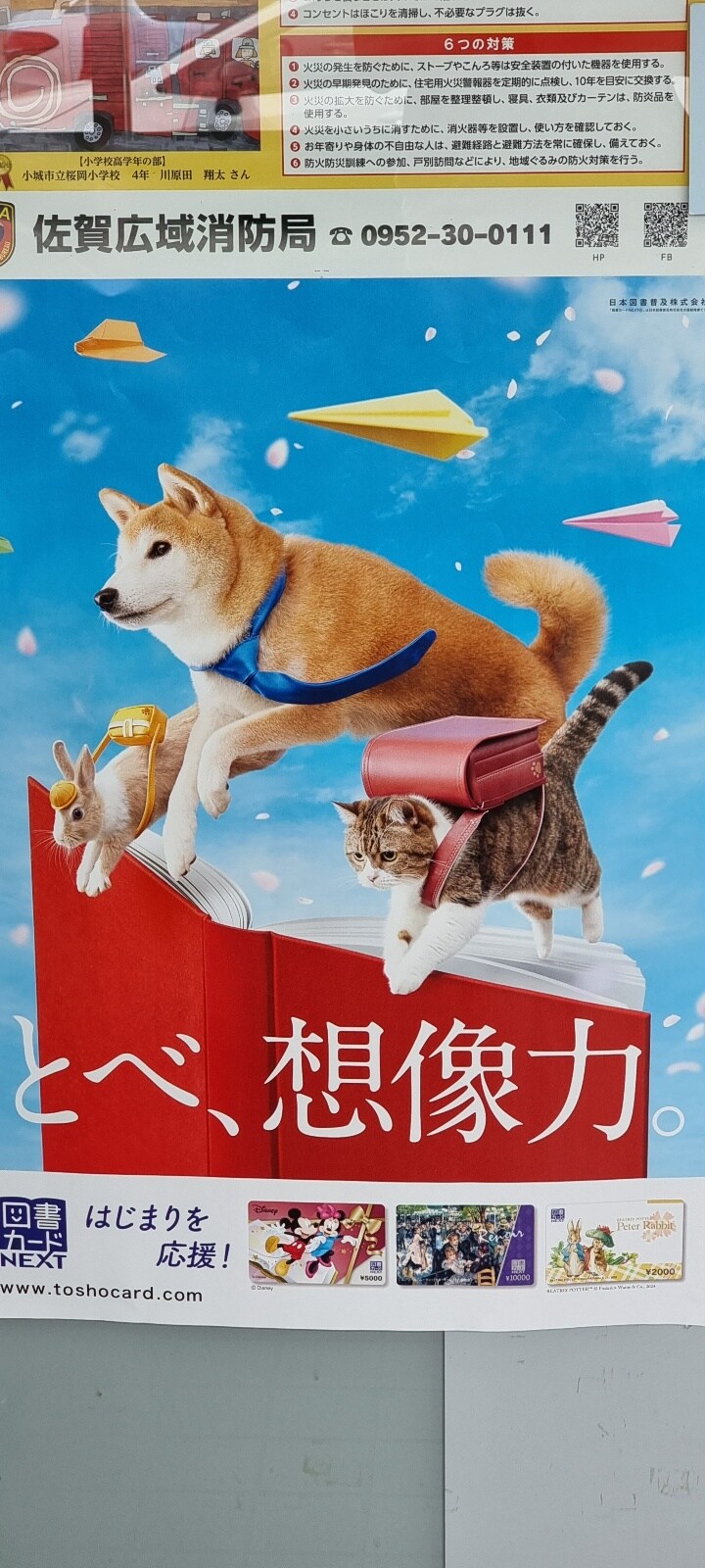 아이 둘 유부남, 홀로 북규슈 여행 5박 6일 - (사가에서 자전거)_31.jpg