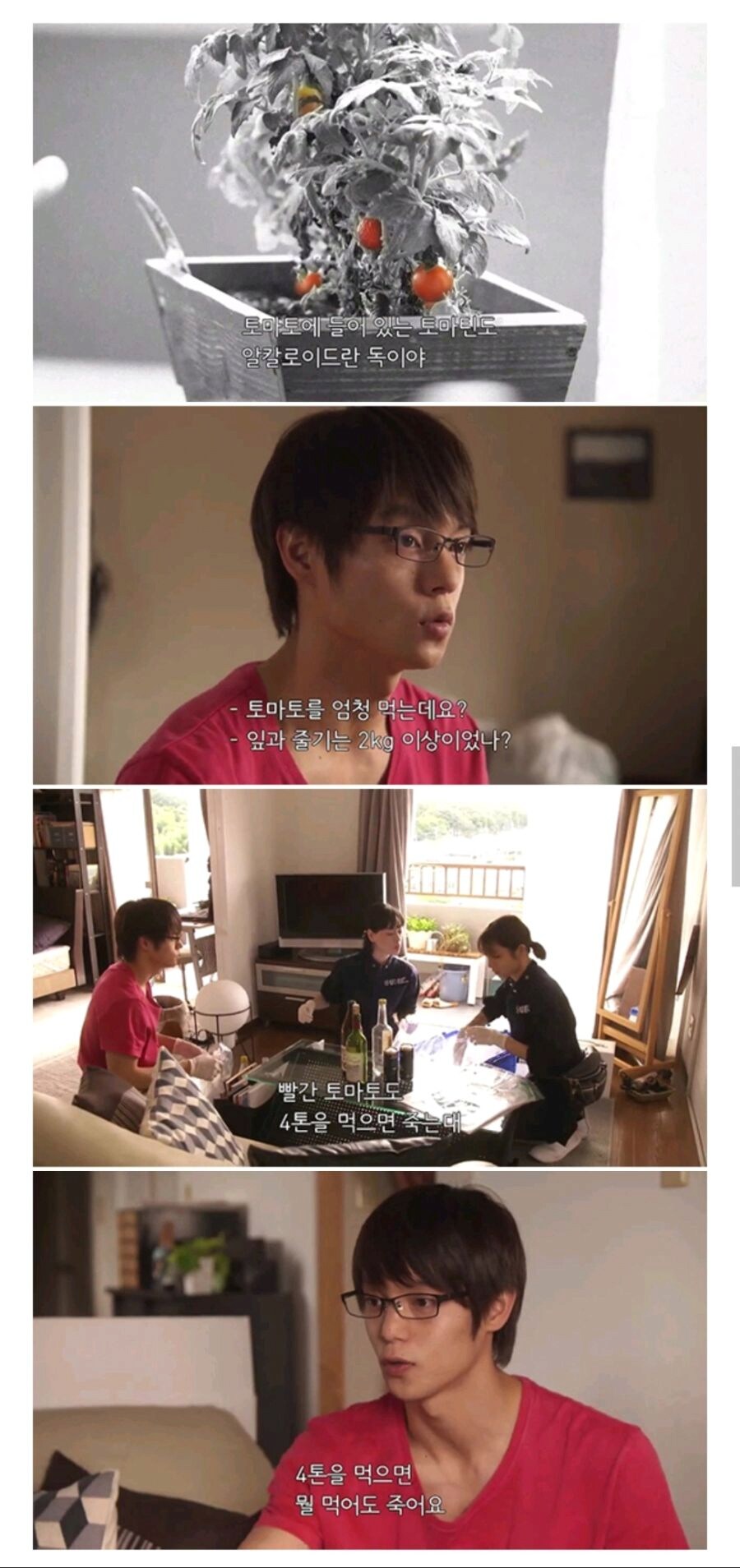 매우 흔하지만 의외로 맹독성인 식물 JPG_1.png