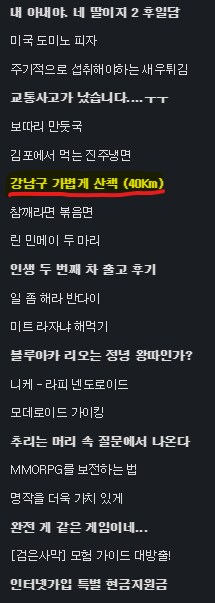 강남구 가볍게 산책 (40Km)_49.png