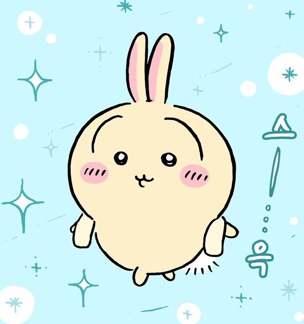 치이카와) 올 여름 패션 트랜드_1.jpg