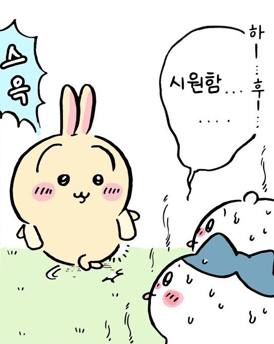 치이카와) 올 여름 패션 트랜드_2.jpg