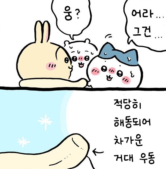 치이카와) 올 여름 패션 트랜드_3.jpg