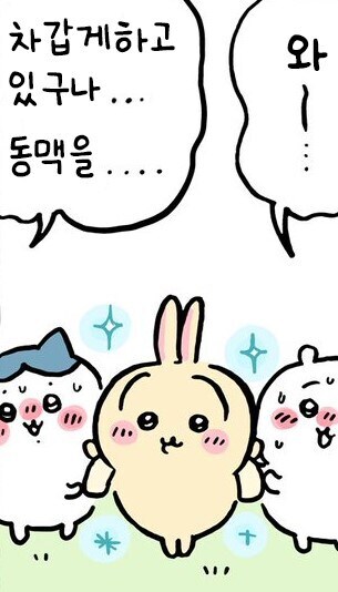 치이카와) 올 여름 패션 트랜드_4.jpg