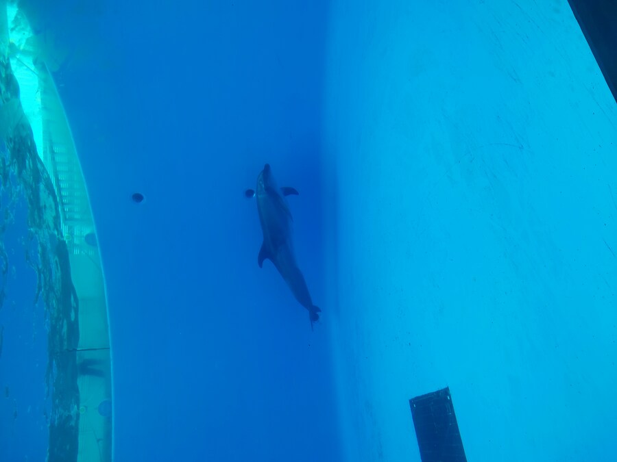 사세보 나가사키 여행 4_42.jpg