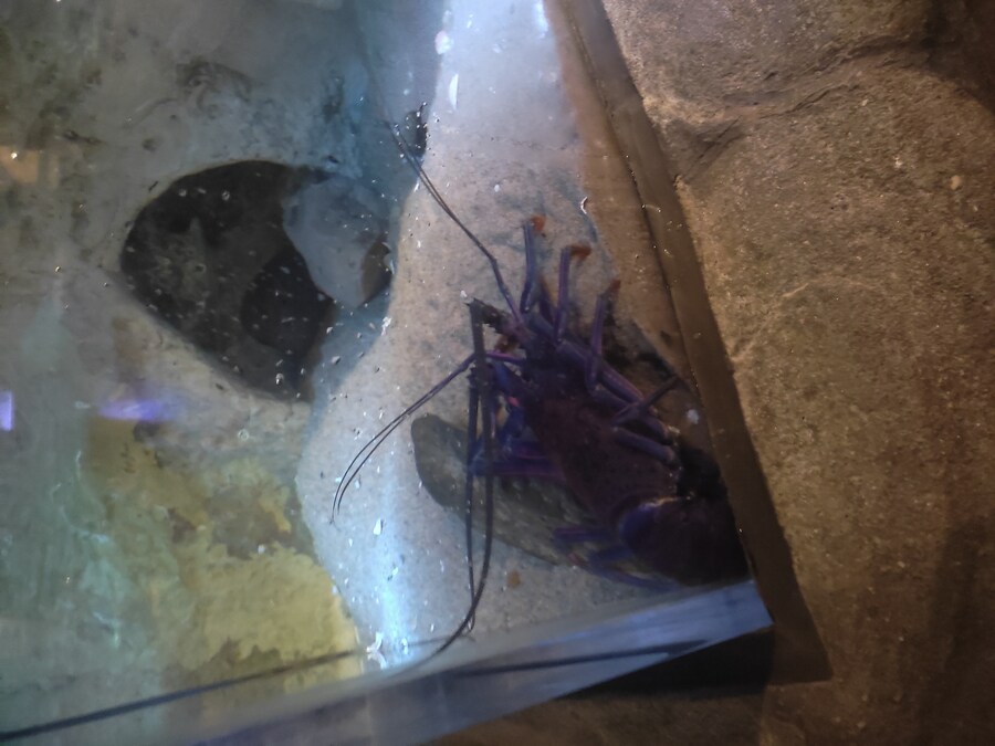 사세보 나가사키 여행 4_33.jpg