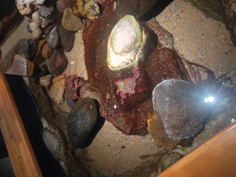 사세보 나가사키 여행 4_34.jpg