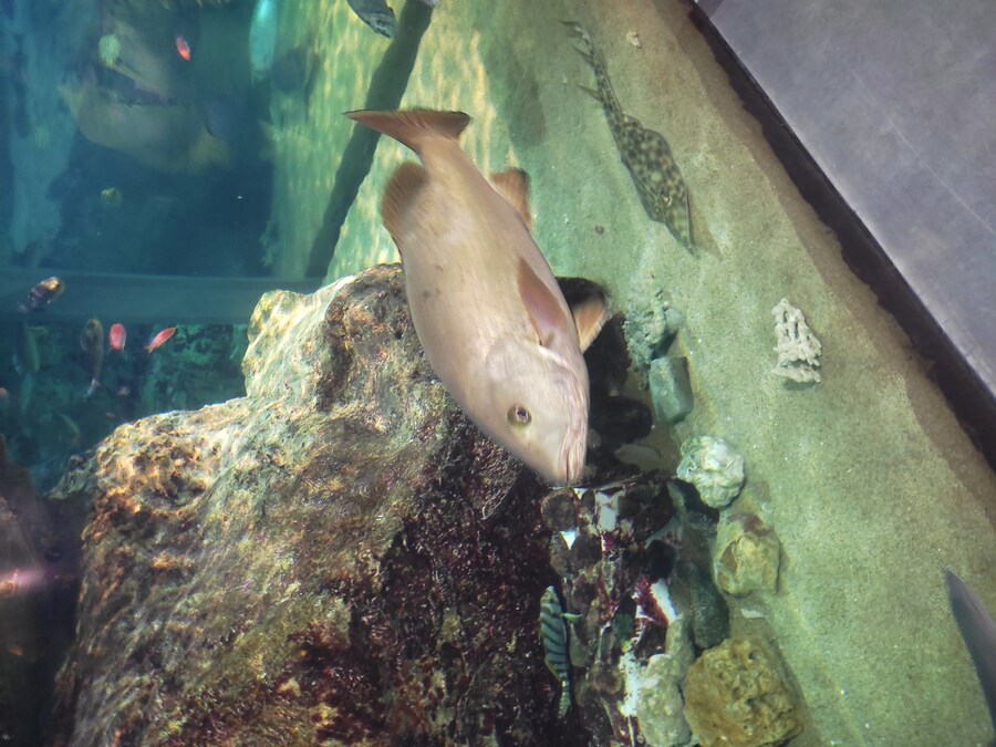 사세보 나가사키 여행 4_38.jpg