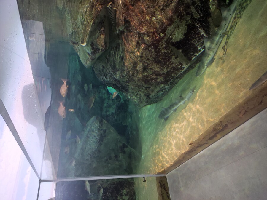 사세보 나가사키 여행 4_50.jpg