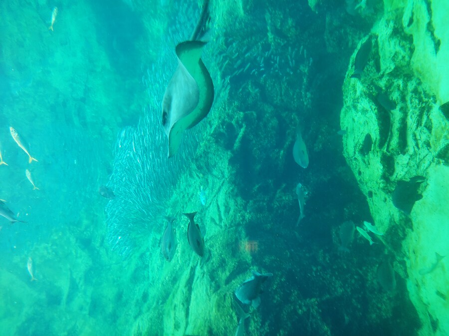 사세보 나가사키 여행 4_45.jpg