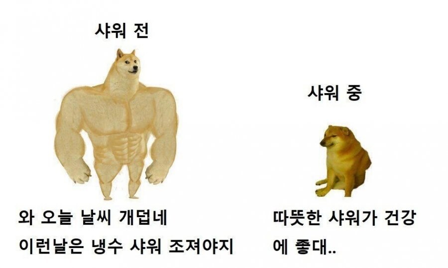 한여름 샤워 특징.jpg_1.jpg