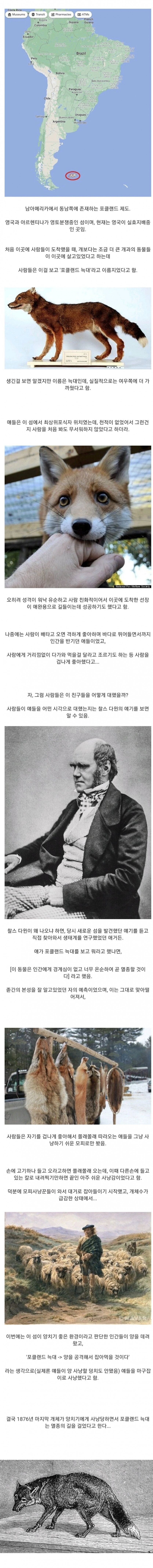 사람을 너무 좋아한 죄로 멸종된 동물_1.png