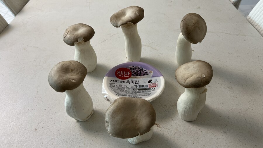 던전밥의 참수 (미궁) 토끼 카레라이스 따라만들기._35.jpg