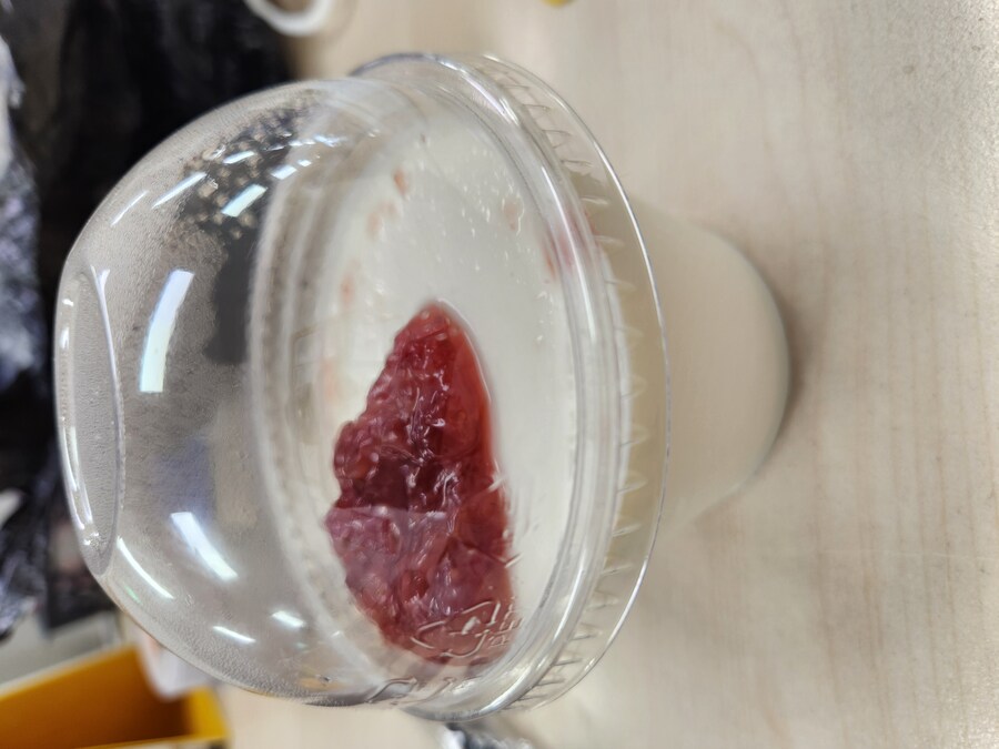 수제 우유 푸딩(판나 코타)_1.jpg