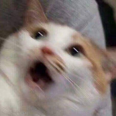 오이시쿠나레_1.jpg
