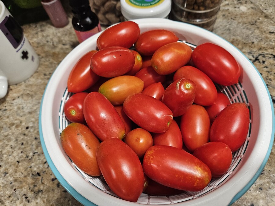 토마토 절임을 만들었습니다_1.jpg