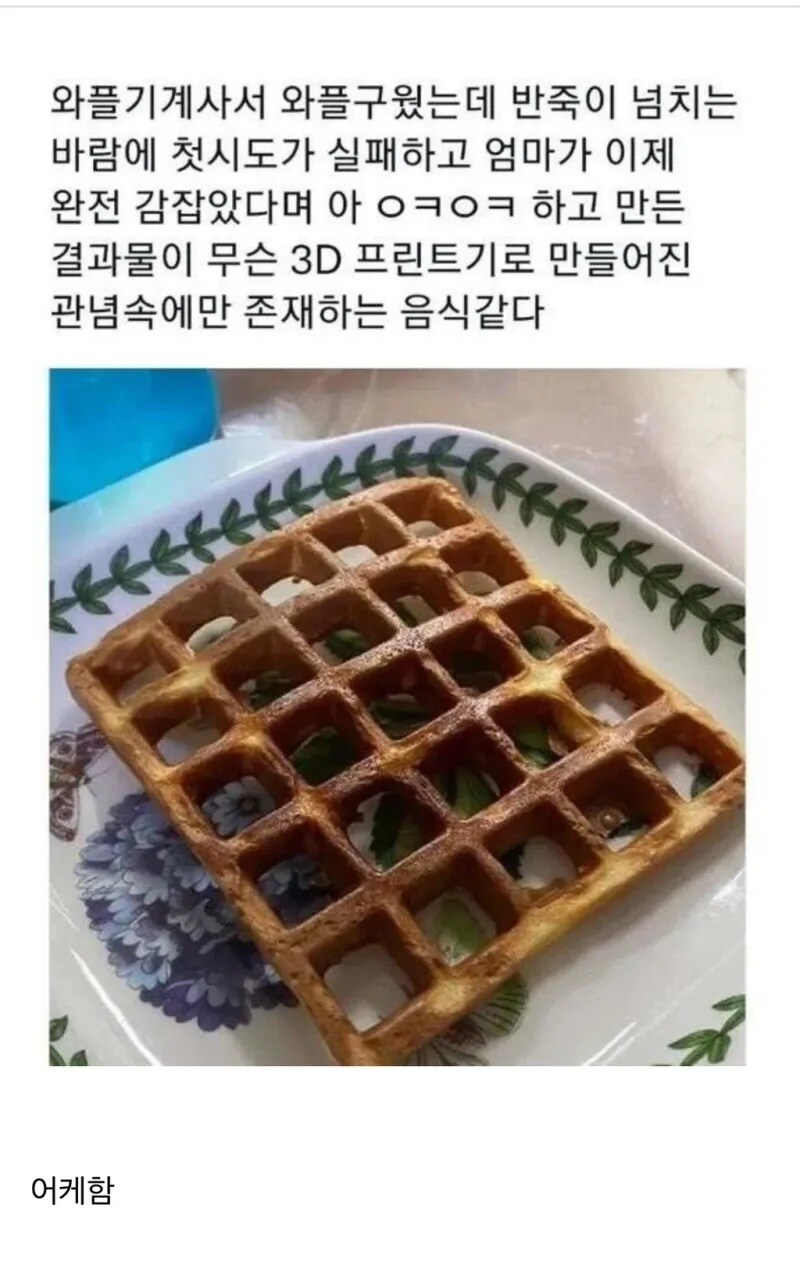 와플 기계를 완벽하게 숙달한 엄마.jpg_1.jpg