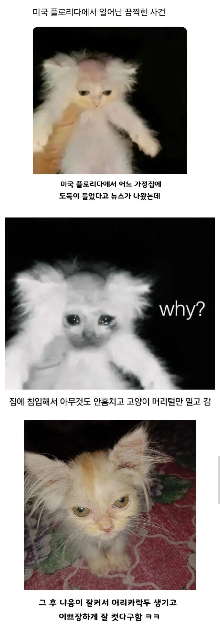 플로리다의 끔찍한 사건_1.png