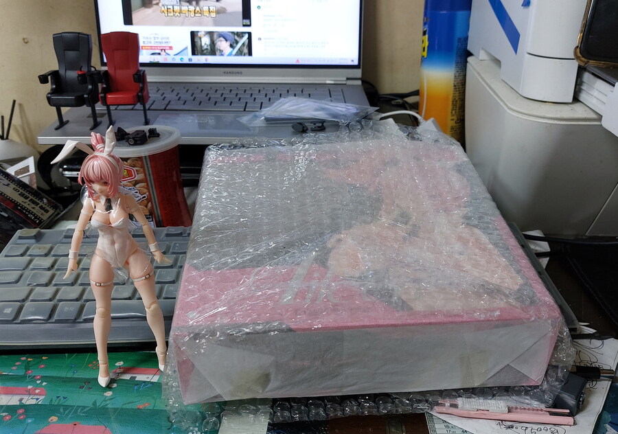 [snail shell Aileen] 스네일쉘 바니걸 아일린..._1.jpg