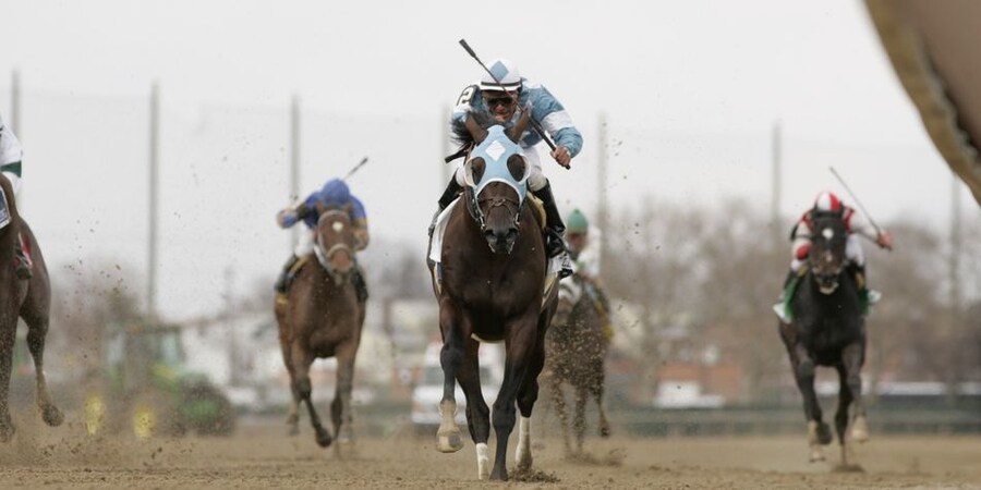 말딸,경마)확실히 우리나라 경마는_1.jpg