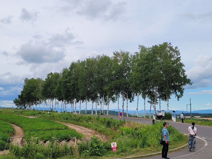 (스압) 5일간의 홋카이도 여행 - 비에이 (3/4)_14.jpg