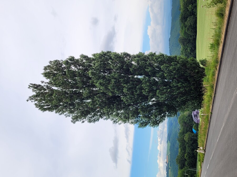 (스압) 5일간의 홋카이도 여행 - 비에이 (3/4)_17.jpg