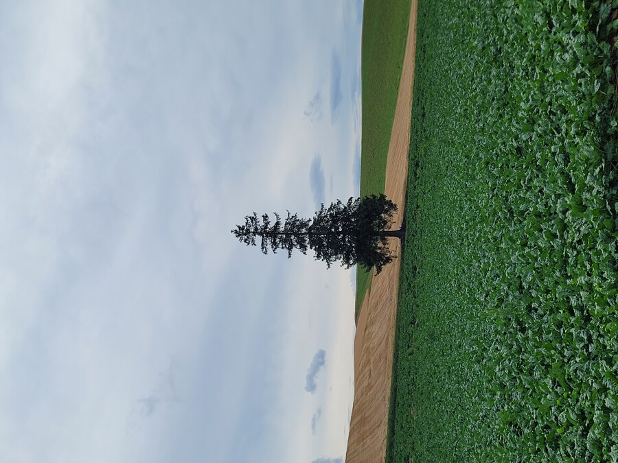 (스압) 5일간의 홋카이도 여행 - 비에이 (3/4)_24.jpg