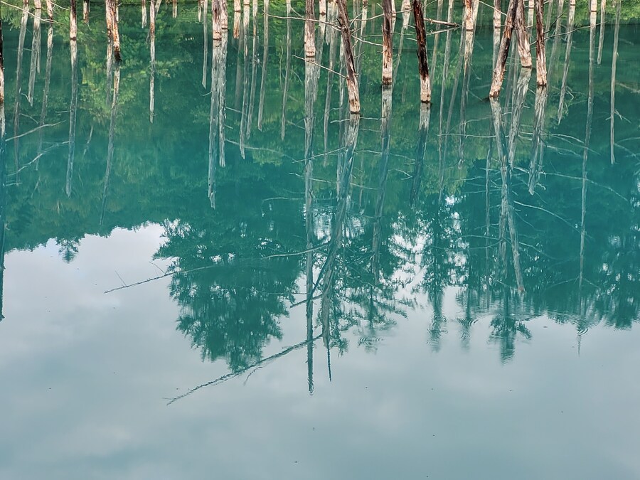 (스압) 5일간의 홋카이도 여행 - 비에이 (3/4)_38.jpg