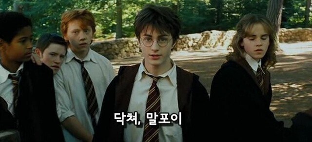 해리포터) 입닥쳐 말포이가 유명해진 이유_1.jpg