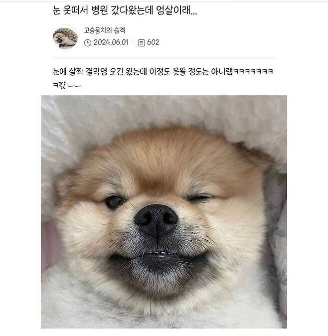 어느집 강아지의 엄살_1.jpg