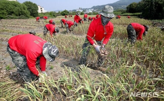 대민지원 요약_1.jpg
