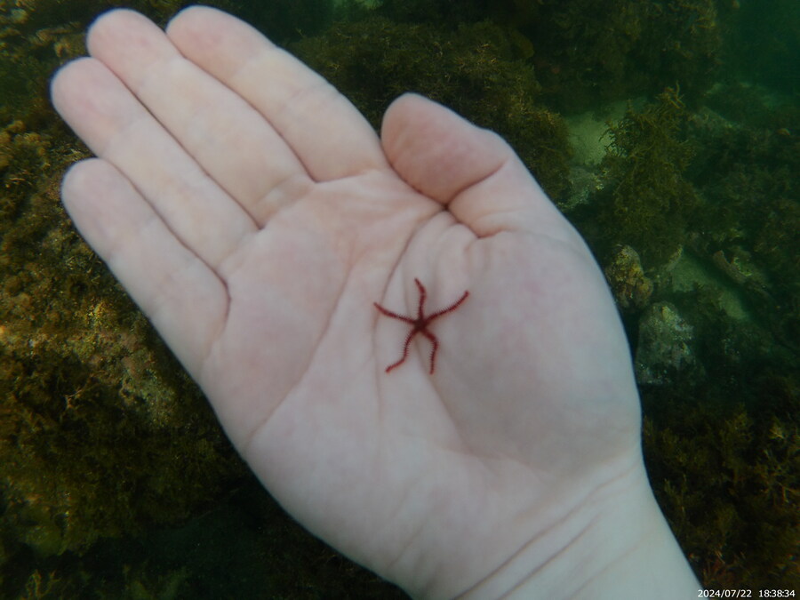 제주도에서 스노클링 하고 왔습니다._33.jpg