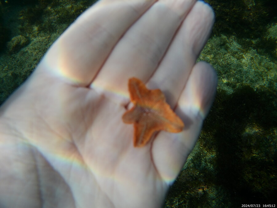 제주도에서 스노클링 하고 왔습니다._44.jpg