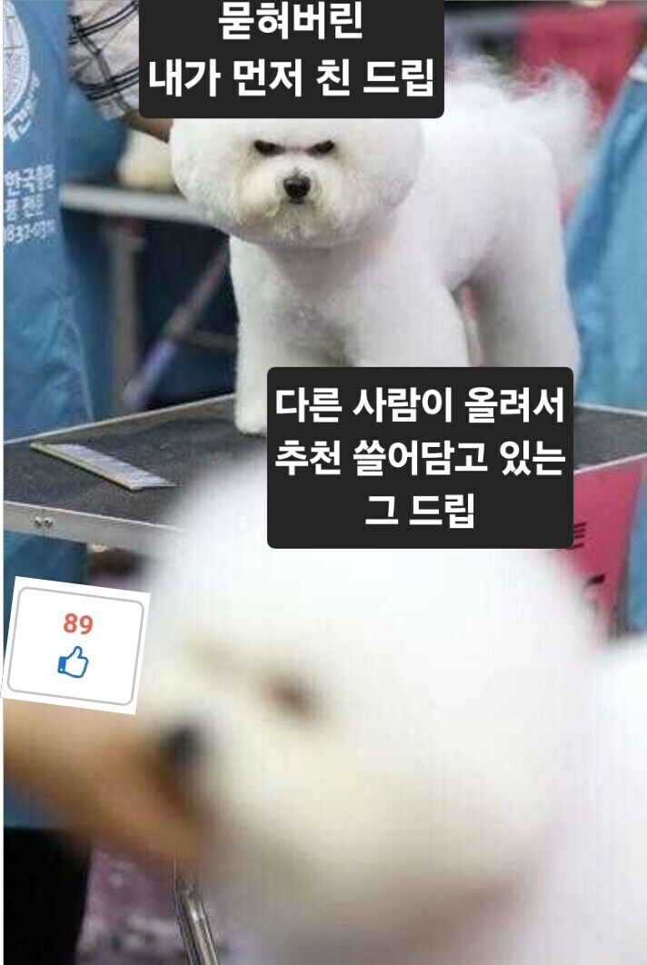 니케) 버닝엄 코스프레하고 팝업 털러 감_3.jpg