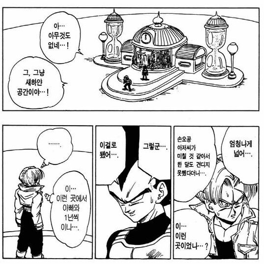 드래곤볼) 베지터 인생에서 가장 특별했을 1년_1.png