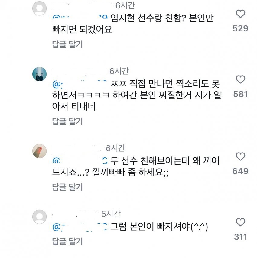 임시현 선수 글에서 개쳐맞고있는 댓글_2.jpg