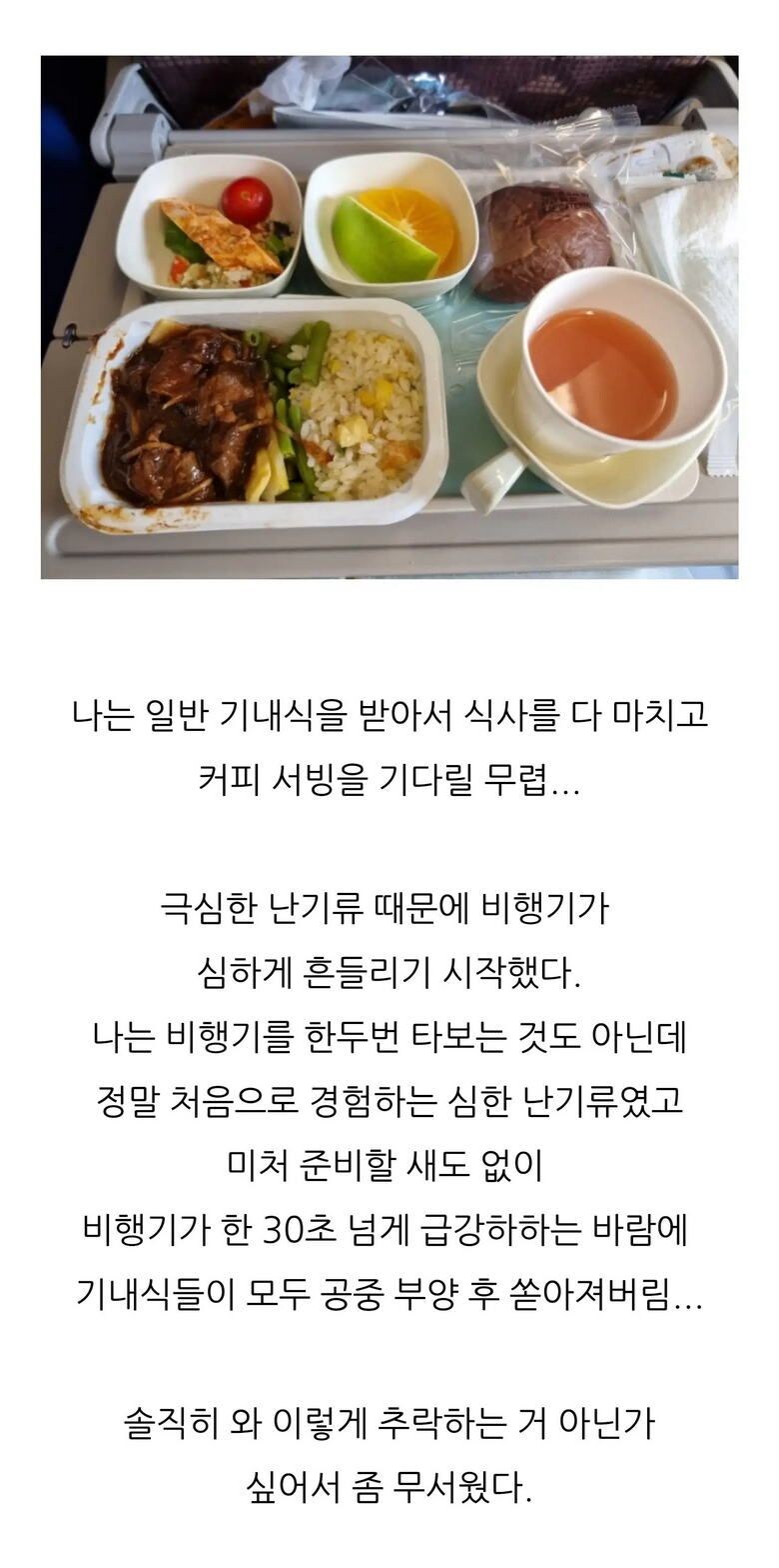 대한항공 몽골행 난기류 대참사.jpg_1.jpg