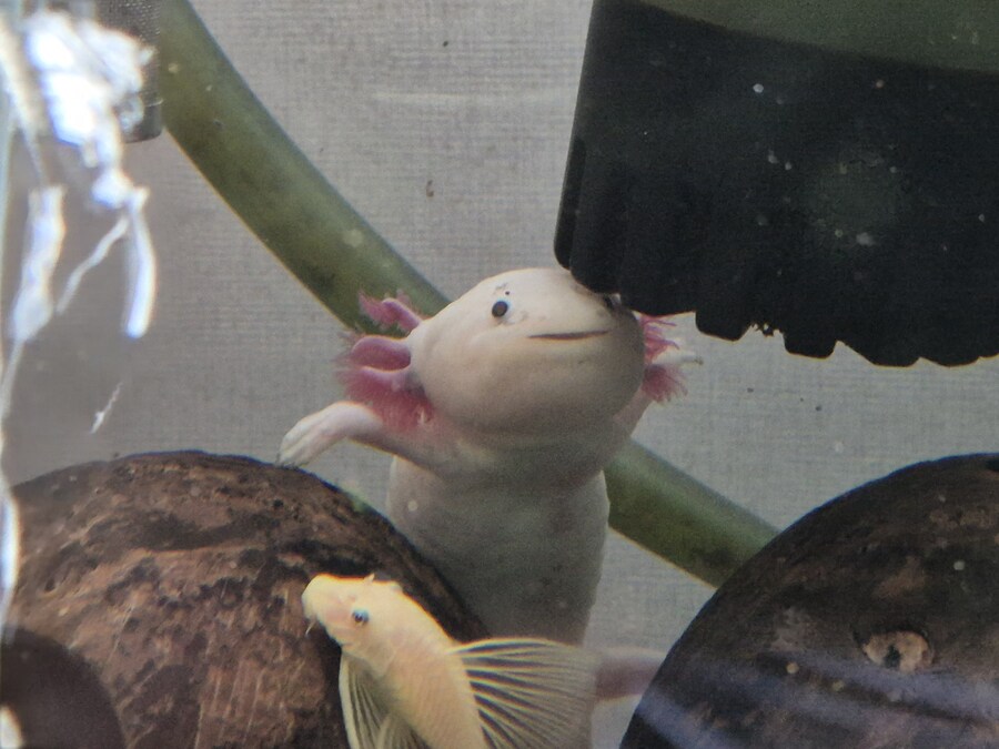 수조)일어나 헌바_2.jpg