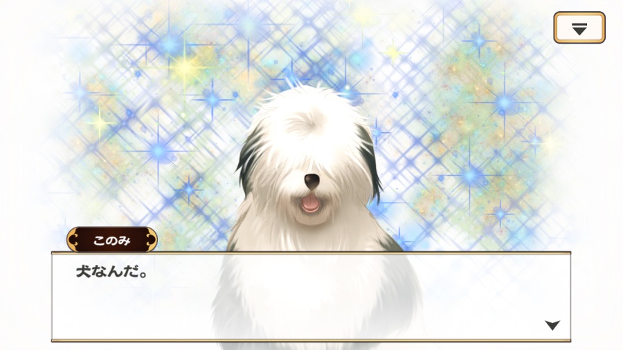 칭송받는자)겐지마루와 겐지마루_8.png