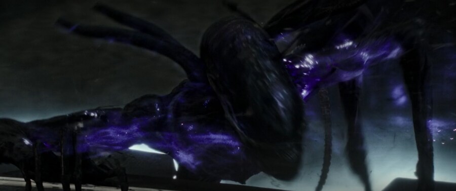 에일리언) 제노모프는 화염이 약점이다?_3.jpg