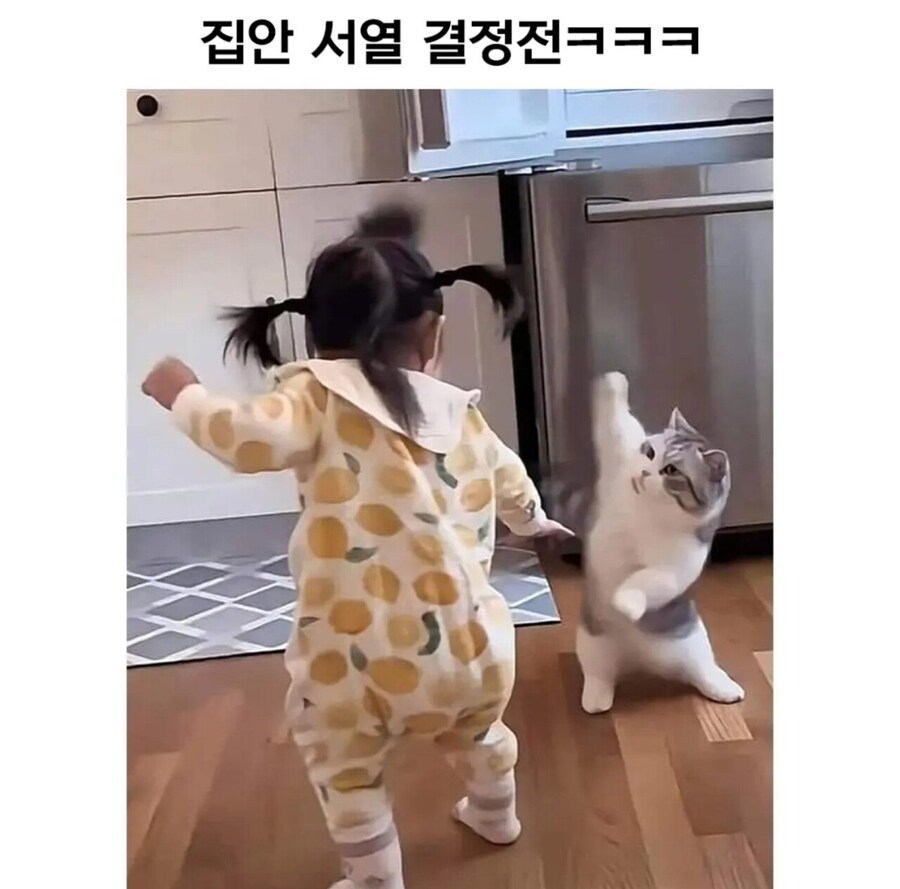 집안 서열 1위 결정전.jpg_1.jpg