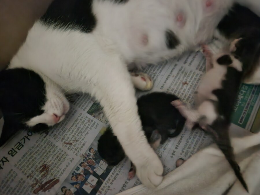 불법)진짜 귀한거 보여준다 빨리와빨리_1.jpg